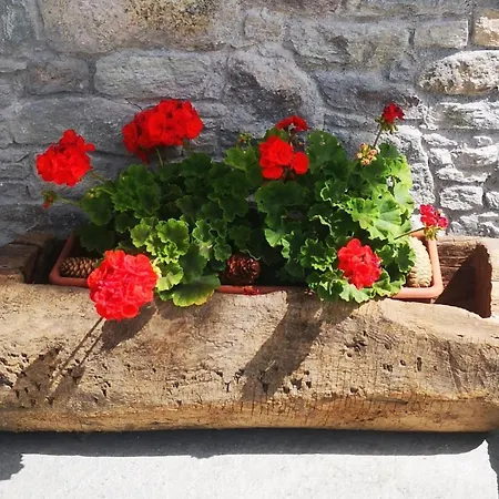 Da Manu - Nus Apartment Blevy